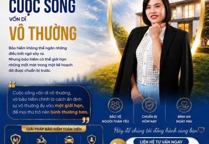 BẢO hiểm xe cơ giới